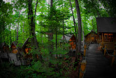 照片中的小屋站在森林。射击地点：北海道Furano