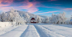 喀尔巴阡山村灿烂的冬日日出.大雪过后,花园里阳光明媚的户外景致,欢度新年.艺术风格经处理后的照片.