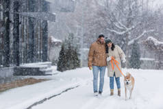 快乐的女人牵着皮带，与男朋友和akita inu的狗一起在雪地里散步