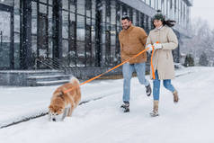快乐的女人牵着皮带，与男朋友和akita inu的狗一起在下雪天跑着