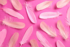 Beautiful feathers on light pink background, flat lay