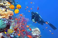 水肺潜水者在美丽的珊瑚礁附近，周围都是五彩斑斓的珊瑚鱼和蝴蝶鱼