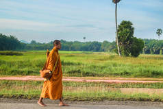 佛教僧侣走乡村道路