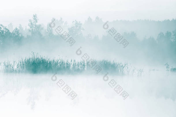 一个美丽的, 五彩缤纷的景观的薄雾沼泽在日出。拉脱维亚、北欧的<strong>大气</strong>、宁静的湿地风<strong>光</strong>与阳<strong>光</strong>.