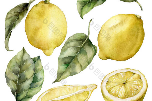水彩画一套成熟的柠檬和树叶.<strong>手绘</strong>新鲜<strong>水果</strong>,白色背景隔离.味道鲜美的食品插图,用于设计,印刷,面料或背景.