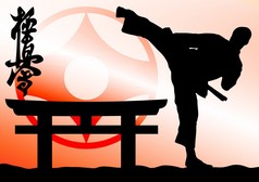 空手道。跆拳道。Kyokushinkai。武术.