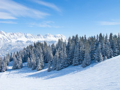 滑雪坡