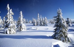 寒冬山水风景从 krkonose-巨山