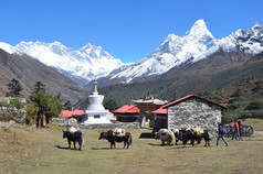 尼泊尔喜马拉雅山、 佛教寺院在 tyanboche 的村庄.