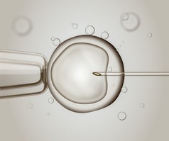 宏的 Ivf (体外受精)。受精的人类卵细胞。数码插画.