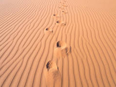 死谷看似在沙丘上的足迹
