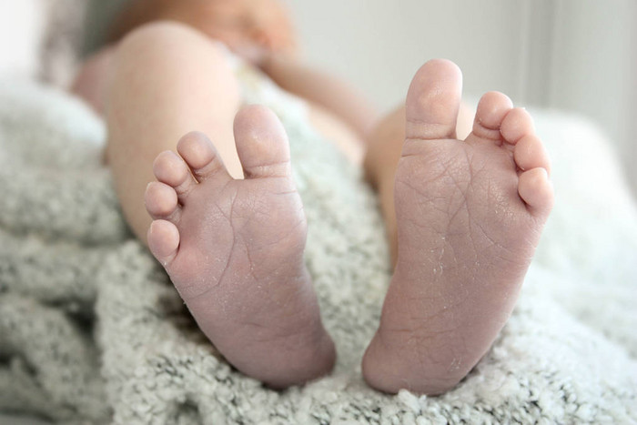 婴儿刚出生的婴儿的双腿小新