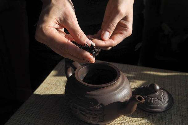 女人睡在粘土茶壶茶。紫砂壶。茶礼。在女性手中茶.
