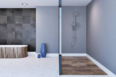灰色浴室内饰, 淋浴间和浴缸