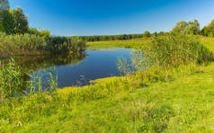 乌克兰 Poltavskaya 州小河流 Merla 画报夏季景观
