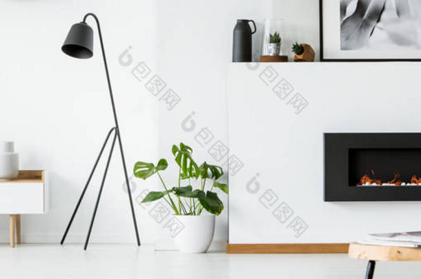 墙壁与海报, 装饰和壁炉在明亮的客厅内部与新鲜的绿色植物, 黑灯在橱柜旁边和灰色扶手椅