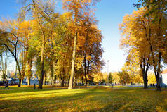 五颜六色的城市公园场面在秋天与橙色和黄色叶子。美丽的秋天风景在维尔纽斯, 立陶宛.