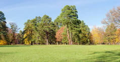 公园内大空地的全景, 秋季的针叶树和落叶树木覆盖的草