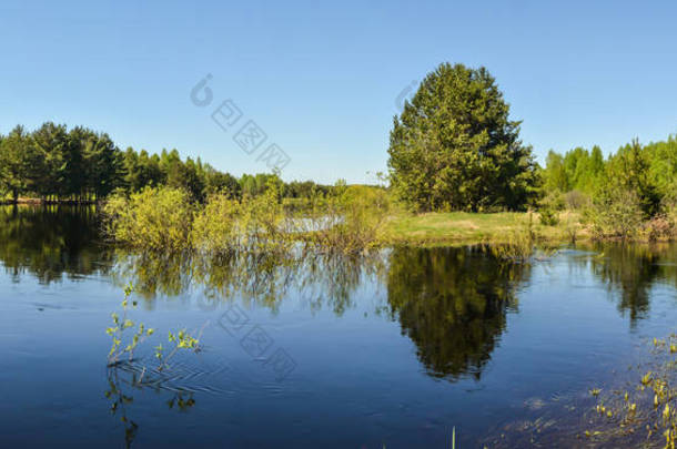 俄罗斯中部春季全景<strong>水景</strong>观。河的全景在5月在国家公园 