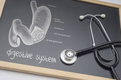 在白板上绘制的人类消化系统图, 以及听诊器、概念图像
