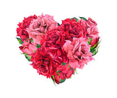花心与红玫瑰花。情人节的水彩画