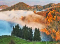 在喀尔巴泰山脉如诗如画的日出。秋天雾蒙蒙的早晨