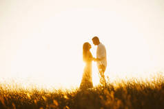 在草地上的情侣在日落或日出时亲吻的英俊的夫妇的肖像