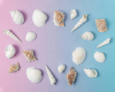 创意构图与贝壳在渐变柔和粉红色和蓝色的背景。夏季最小概念.