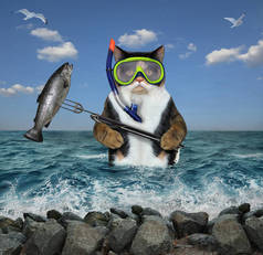 猫在水下猎捕鱼2