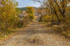 秋天回家的路 在五彩缤纷的秋天,放弃了空荡荡的街道,树木呈橘黄色. 室外美丽的秋天.