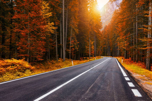 环绕着<strong>马路</strong>的景象.秋天，意大利南蒂罗尔阿尔卑斯山的沥青路面。秋天的<strong>风景</strong>,两边都是弯弯曲曲的道路和黄色的落叶松.白云石阿尔卑斯山。意大利