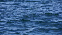 阿拉斯加峡湾中的风景在鲸鱼观看狩猎时
