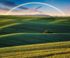 绿地上彩虹的景致