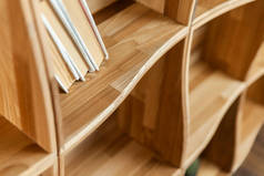 书架上有木制书柜和仙人掌.空家具.
