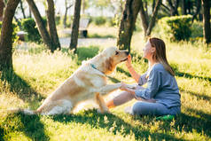 一个年轻的女人和一只金黄色的猎犬坐在草地上。