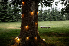 绳子挂在有彩灯的大树上.夏夜.