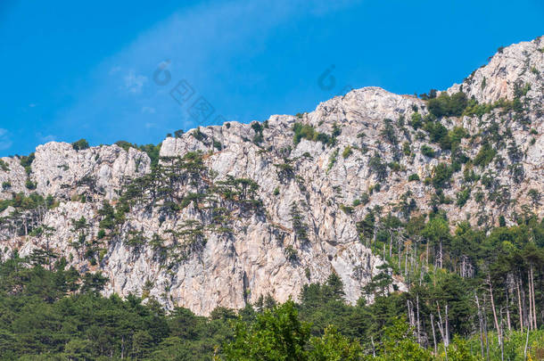 在孤独的松树<strong>下</strong>，与马共舞的秋天风景。秋天的草原上，在一棵孤寂的树<strong>下</strong>，有一匹马。蓝天背景