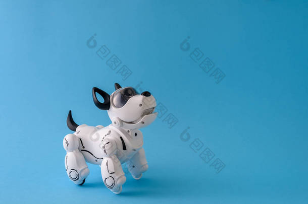 浅蓝色背景的机器人狗宠物