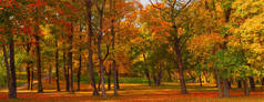 秋天的风景全景在公园里,色彩艳丽的木叶.秋天里阳光灿烂.