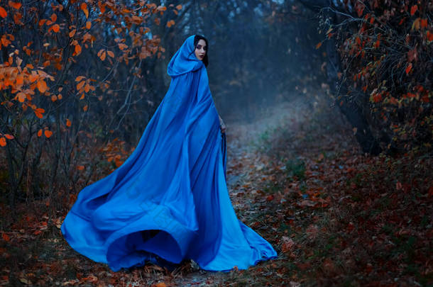 哥特式神秘女人走在梦幻的秋天森林里.长丝蓝斗篷飘扬，波浪随风飘扬，面料飘扬。头罩。女孩公主回头看。落橙叶黑树，雾.