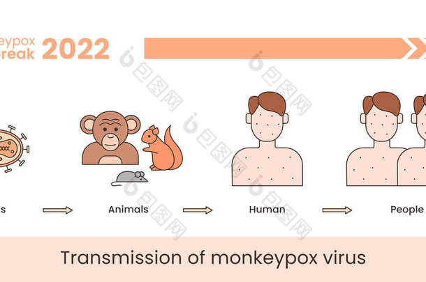 Monkeypox virus transmission banner concept. Line illustration isolated on a white background