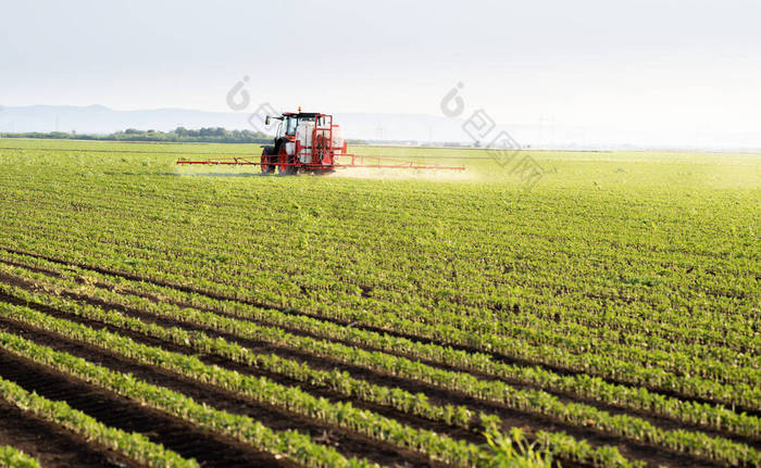 拖拉机在春天在大豆田用喷雾器喷洒农药