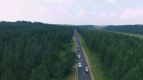 美丽多彩的塞罕坝森林公路