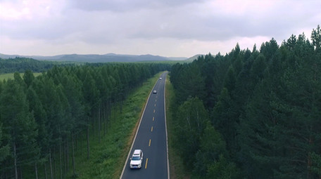 美丽多彩的塞罕坝森林公路