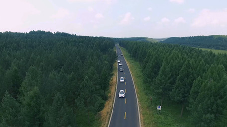 美丽多彩的塞罕坝森林公路