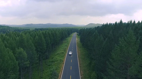 美丽多彩的塞罕坝森林公路