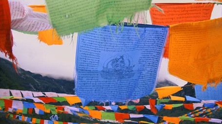 西藏深处的村庄和森林