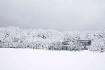 雪景场景森林风景