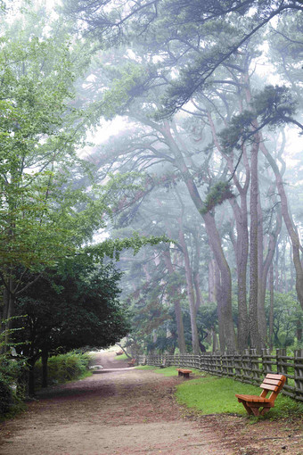 公共公园<strong>树林</strong>植物休闲长椅摄影图