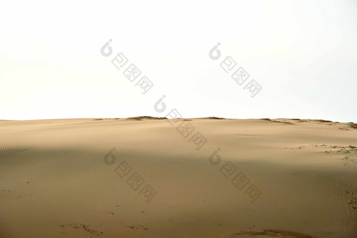 白天里的沙漠土壤自然室外景观摄影图